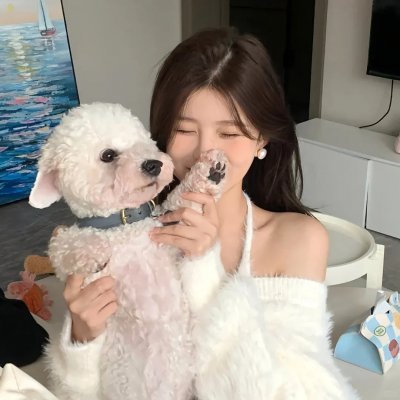 风流家族
